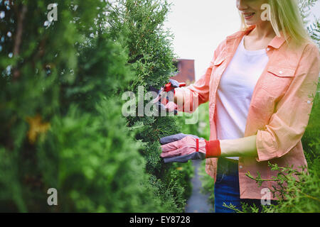 Female gardener cutting thuja branches Stock Photo