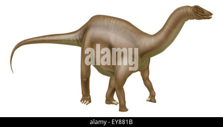 A Diplodocus dinosaur from the sauropod family like brachiosaurus, supersaurus and other long neck dinosaurs. What we used to ca Stock Photo