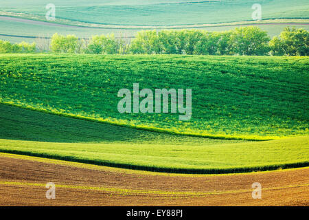 European rural wallpaper - Moravian ploughed field with furrows and ...