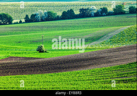 European rural wallpaper - Moravian ploughed field with furrows and ...