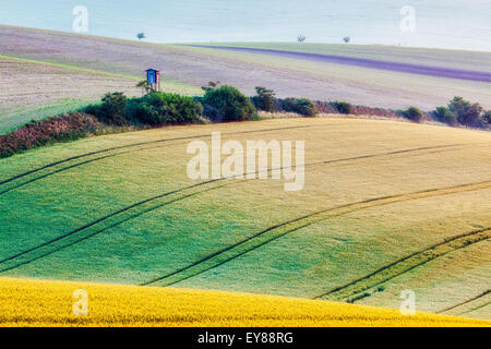 Moravian rolling landscape on sunrise. South Moravia, Czech Republic ...