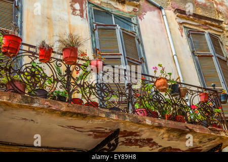 Weathered old house with balcony and plants dead and alive Stock Photo