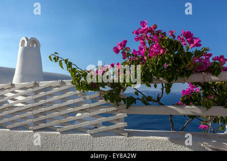 Santorini Terrace Greece Bougainvillea flowers flowering vine Europe Stock Photo