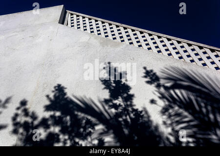 Santorini Greece shadow tree on wall shadows Stock Photo