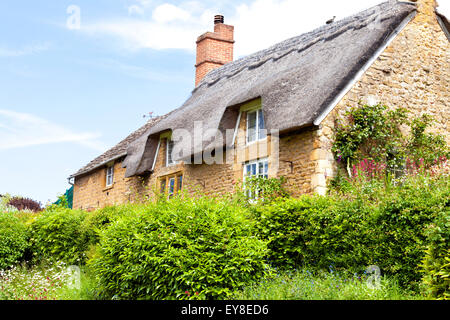 Traditional old Cotswold stone cottage with thatched roof and front garden overgrown with green shrubs on a sunny summer day Stock Photo