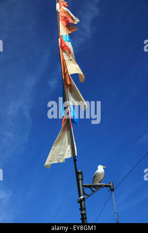 A flag flying against a deep blue sky with a seagull underneath. Stock Photo