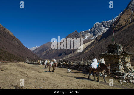 The village of Samdo in the upper Nubri Valley of the Manaslu Circuit Trek Stock Photo