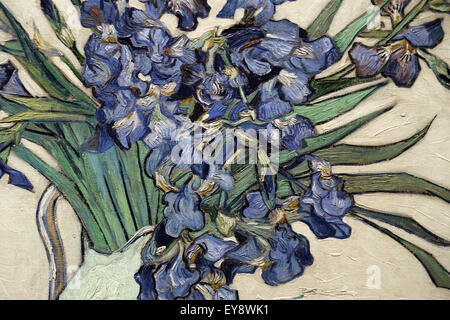 Vincent van Gogh (1853-1890).  Dutch painter. Irise, 1890. Oil on canvas. Metropolitan Museum of Art. NY. USA. Stock Photo