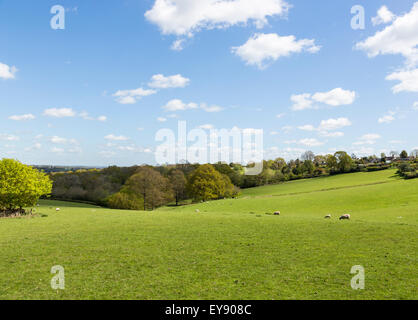 Panoramic view over rolling fields and woodland on the Sussex Kent borders in springtime with blue sky and white fluffy clouds Stock Photo