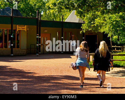 Two young women walking near the Visitor Centre at Sherwood Forest Edwinstowe Nottinghamshire England UK Stock Photo