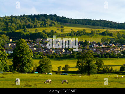 Sheep grazing on grass in summer on Cromford Meadows in the Derbyshire Dales Peak District England UK with houses beyond Stock Photo