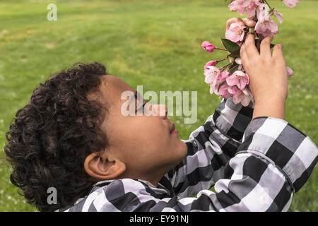Young girl examining pink apple blossoms after a shower of rain; Edmonton, Alberta, Canada - Stock Photo