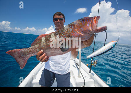 Fisherman holding a fresh caught Grouper fish; Tahiti Stock Photo