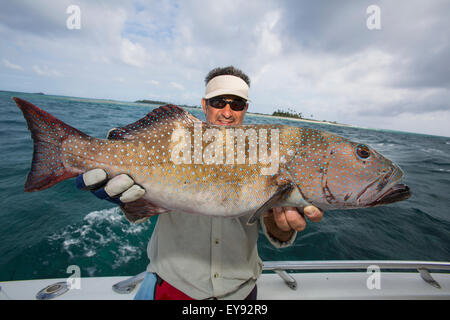 Fisherman holding a fresh caught Grouper (Epinephelinae); Tahiti Stock Photo