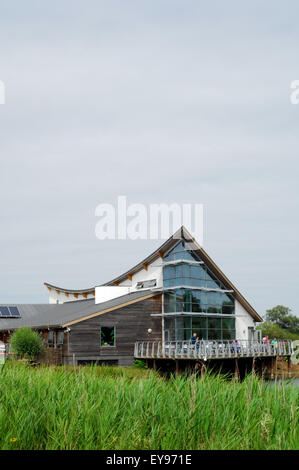 Stanwick lakes Northamptonshire England Stock Photo