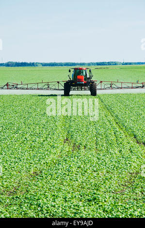 A high clearance sprayer applies herbicide to early growth canola, near Dugald; Manitoba, Canada Stock Photo