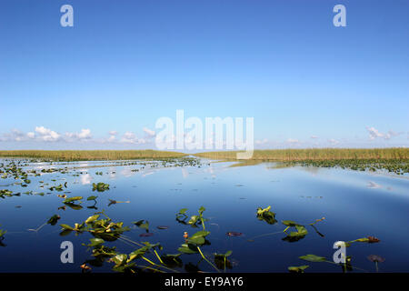 Everglades National Park in Florida Stock Photo