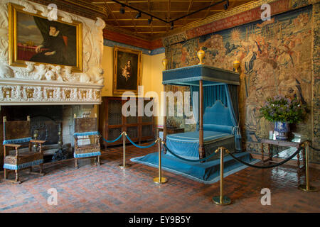 Diane de Poitiers' bedroom at Chateau de Chenonceau, Indre-et-Loire, Centre, France Stock Photo