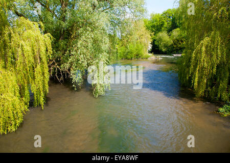 Wiltshire Rivers River Avon Amesbury Wiltshire UK Stock Photo - Alamy