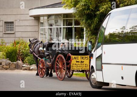 Horse And Buggy Next To Bus At The Glendalough Retreat Centre; Glendalough, County Wicklow, Ireland Stock Photo