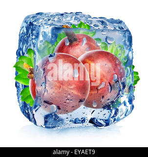 Red gooseberry in ice cube isolated on white Stock Photo