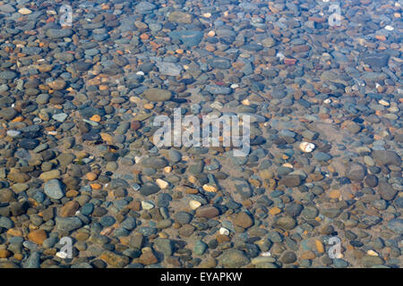 Multicoloured sea pebbles on the beach under a layer of transparent water Stock Photo