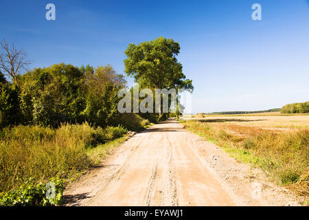 rural road Stock Photo