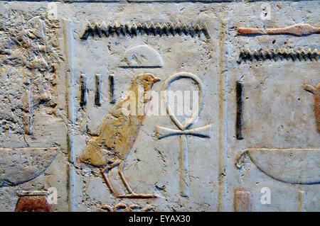 Luxor, Egypt. Temple of Merenptah (Baenra Meriamon) XIX° dyn. son of Ramses II the Great: various hieroglyphs. Stock Photo
