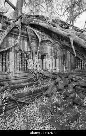 Beng Mealea Temple ruines in the middle of jungle forest Stock Photo