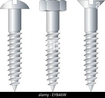 Vector illustration of screws Stock Vector