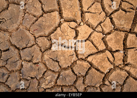 brown texture of polygons of desiccation caused by drought Stock Photo