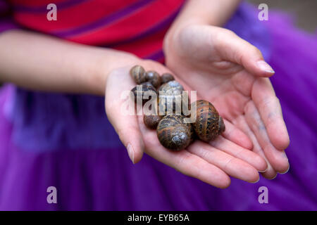 Close-up of child holding snails in her hands. Stock Photo