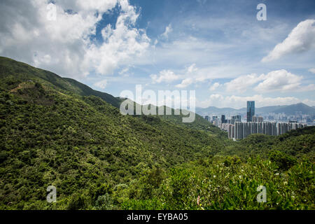 The dramatic views of Hong Kongs densely populated yet tropes style jungle. Hong Kong Island. Quarry Bay / Taikoo Shing. Stock Photo