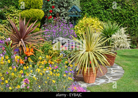 Back garden design mixed plants for colour effect & potted plants for flexible varied arrangements with conifer hedge backdrop summer Essex England UK Stock Photo