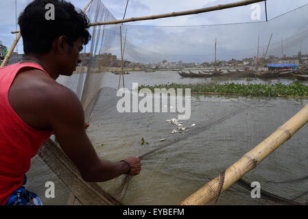 Dhaka, Bangladesh. 26th July, 2015. A Bangladeshi fisherman busy to catching fish in the Buriganga River in Dhaka. On July 26, 2015  Fishermen in Bangladesh attempt to catch a dwindling supply of fish in the Buriganga River. Verity types of fish get in the rainy season in Buriganga River. Many families depend on the river for their livelihood. Credit:  Mamunur Rashid/Alamy Live News Stock Photo