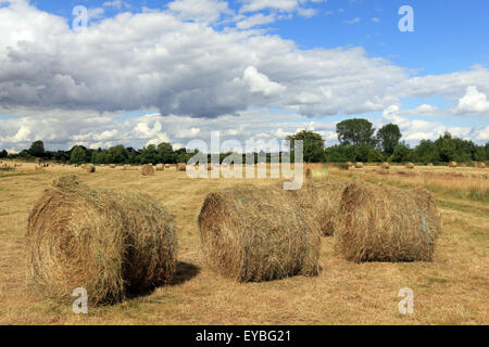 Hay Bales in field at Minster Lovell Oxfordshire England UK Stock Photo