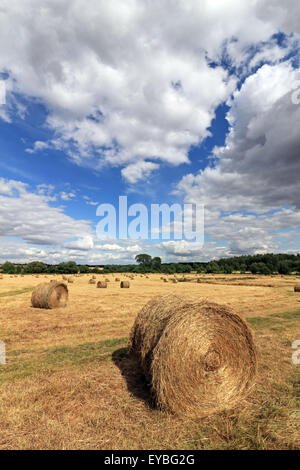 Hay Bales in field at Minster Lovell Oxfordshire England UK Stock Photo