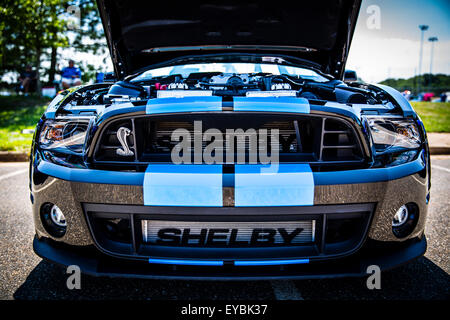 2014 Ford Mustang Shelby Cobra GT500 Stock Photo