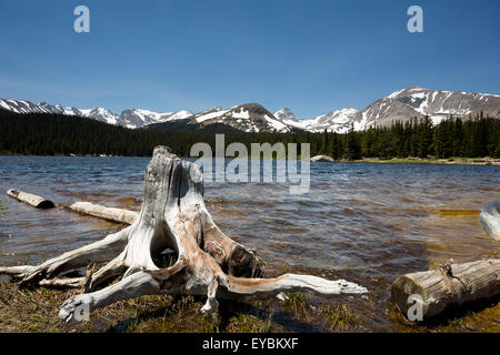 Weathered tree stump in foreground of Brainard Lake in Colorado's Roosevelt National Forest with Indian Peaks Wilderness in back Stock Photo