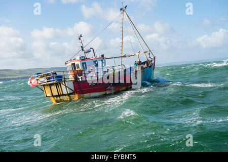 Inshore fishing in Cardigan Bay : a small lobster and crab fishing boat working out of Aberystwyth harbour, Ceredigion west Wales UK Stock Photo