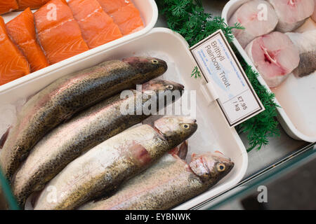 Two young rainbow or steelhead trout in a net at a fish hatchery