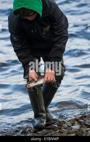 A teenage boy fishing for trout at the Dinas Fishery, Ceredigion mid Wales UK Stock Photo