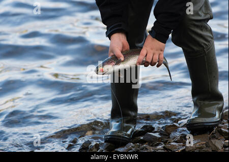 A teenage boy fishing for trout at the Dinas Fishery, Ceredigion mid Wales UK Stock Photo