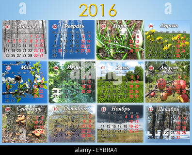 calendar for 2016 in Russian with photo of nature for every month. Calendar with Russian national holidays. Stock Photo