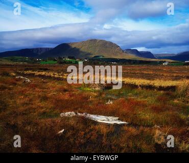 Trean, Lough Mask, Near Partry Mountains, Co Mayo, Ireland; Bog Near The Mountains Stock Photo