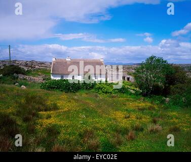 Gorumna Island, Connemara, Co Galway, Ireland Stock Photo