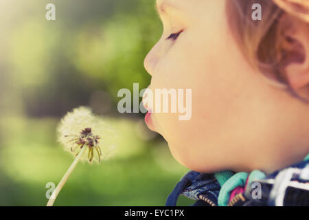 Caucasian blond baby girl blows on a dandelion flower in a park, vintage toned photo with selective focus Stock Photo