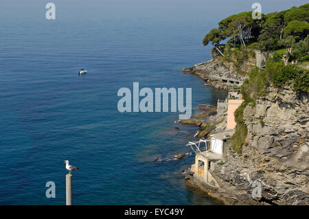 a glimpse of the wild coast of Liguria near Pieve Ligure Stock Photo