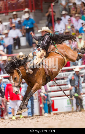 Cheyenne, Wyoming, USA. 26th July, 2015. Bareback rider Tanner Aus of Granite Falls, Minnesota hangs on to win the Bareback Championships at the Cheyenne Frontier Days rodeo in Frontier Park Arena July 26, 2015 in Cheyenne, Wyoming. Frontier Days celebrates the cowboy traditions of the west with a rodeo, parade and fair. Stock Photo