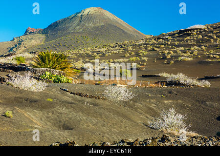 Timanfaya National Park. Lanzarote, Las Palmas province, Canary Islands, Spain, Europe. Stock Photo